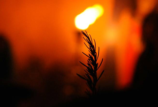 After scribing an unwanted negative energy onto a piece of paper and casting it into a fire, the promise of a pure, positive, and natural one is given to a follower in the form of a freshly cut herb, such as Rosemary, during a celebration of Litha, a Wiccan tradition honoring the summer solstice being held inside a small temple near Indian Springs on Saturday evening.