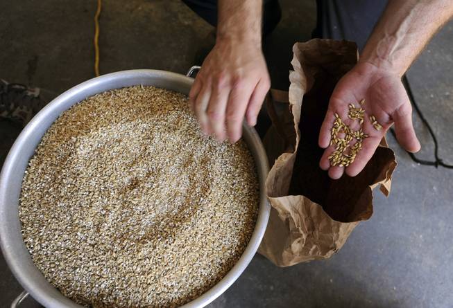 Army veteran Eric Johnson, of Fremont, Calif., shows grains that will be used in a Valor Double IPA at Uncle Sam's Misguided Brewery in Livermore, Calif., on Monday, May 26, 2014. The brewery is run by fellow veterans and co-owners Josh Laine and Fara Eve Barnes.