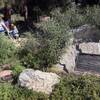 Photo: Visitors walk past a plaque marking the George Har Photo: Visitors walk past a plaque marking the George Har