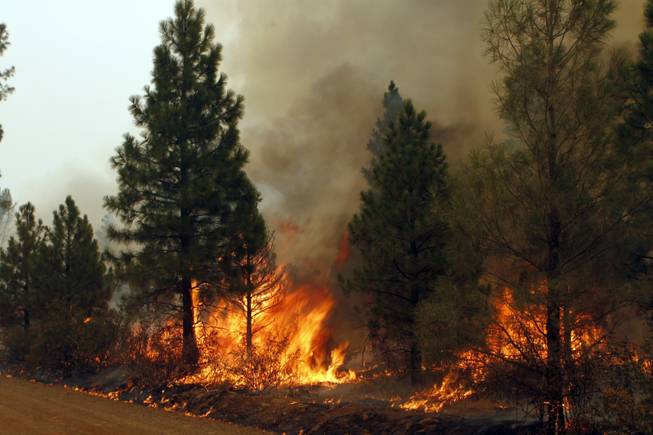 Smoke rises from a fire in Burney, Calif., Sunday, Aug. 3, 2014. A pair of wildfires burning without restraint about 8 miles apart in northeast California became the focus of state and federal firefighters as authorities reported that one of the blazes had destroyed eight homes and prompted the precautionary evacuation of a small long-term care hospital.
