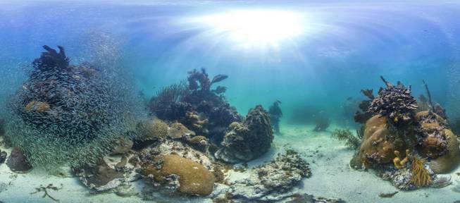 This Tuesday, Aug. 5, 2014, photo provided by Catlin Seaview Survey shows protected reefs in the Florida Keys. U.S. government scientists hope people will soon be able to go online and get a 360-degree view of reefs and other underwater wonders, much like Google Map’s “street view” lets people look at homes.