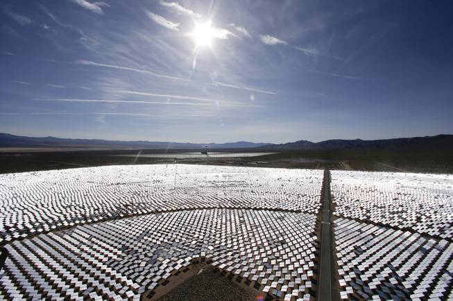 This Feb. 11, 2014 file photo shows some of the 300,000 computer-controlled mirrors, at the Ivanpah Solar ElectirIc Generating System in Primm, Nev. New estimates for the Ivanpah solar plant, an innovative year-old $2.2 billion solar project with Google as a major investor, say thousands of birds are dying yearly, roasted by the concentrated sun rays from the more than 300,000 mirrors.