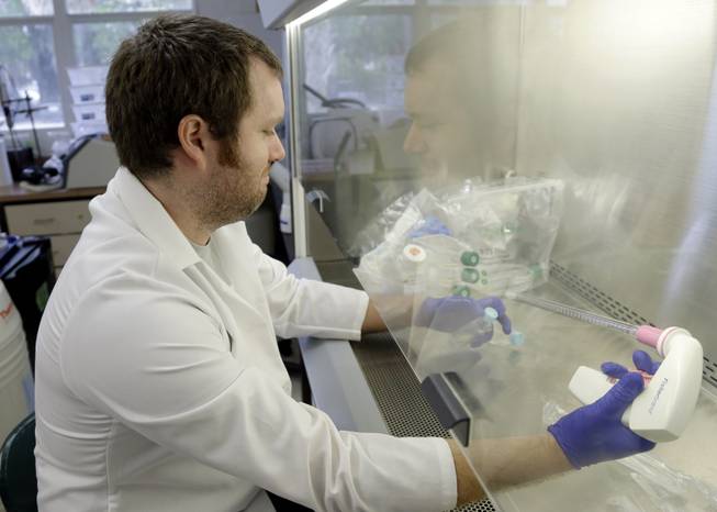 In this Wednesday, July 31, 2014 photo, scientist Calum Russell loads bacteria from different insects into a vial which will put into an Asian Citrus Psyllid to see if certain strains of bacteria will protect the psyllid, at the University of Florida Citrus Research and Education Center, in Lake Alfred, Fla. Some of the world's top researchers are working at this center to unlock the puzzle of citrus greening caused by the psyllid. The invasive bug carries bacteria that are left behind when the psyllid feeds on a citrus tree's leaves.