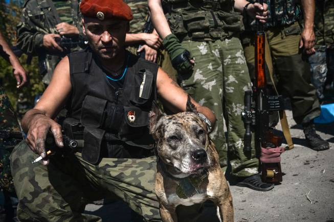 A Pro-Russian rebel holds a dog named Devka with hand grenade attached to the leash in Donetsk, eastern Ukraine, Wednesday, Sept. 3, 2014. A day ahead of a NATO summit, Russian President Vladimir Putin issued his own peace plan for eastern Ukraine, calling on the Russian-backed insurgents there to "stop advancing" and urging Ukraine to withdraw its troops from the region. Hours earlier, Ukraine had issued a vague statement about agreeing with Putin on cease-fire steps. The separatists rejected the move, saying no cease-fire was possible without a pullback by Ukraine, while Putin's spokesman claimed that Moscow could not agree to a cease-fire because it was not a party to the conflict.