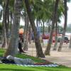 Photo: In this photo taken Monday, Sept. 8, 2014, a man s Photo: In this photo taken Monday, Sept. 8, 2014, a man s