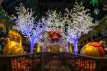 2014 Bellagio Holiday Display