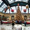 Photo: The Christmas tree in the Bellagio's holiday displ Photo: The Christmas tree in the Bellagio's holiday displ