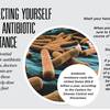 How to protect yourself from antibiotic resistance How to protect yourself from antibiotic resistance