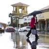 Photo: Joean Carlgren keeps dry under her umbrella as she Photo: Joean Carlgren keeps dry under her umbrella as she