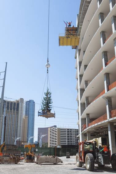 Christmas in September at Lucky Dragon?
