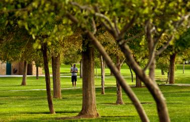 An ode to our Valley's parks