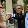 Siegfried & Roy feed a tiger cub during a Make-a-Wish Foundation event Thursday, Oct. 22, 2015, at the Mirage. Siegfried & Roy feed a tiger cub during a Make-a-Wish Foundation event Thursday, Oct. 22, 2015, at the Mirage.
