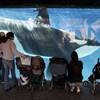 Photo: In this Nov. 30, 2006, file photo, people watch th Photo: In this Nov. 30, 2006, file photo, people watch th