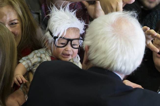 Social media's 4-month-old Bernie Sanders lookalike has died