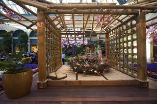 Bellagio Display Honors Japanese Culture