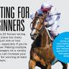 Photo: Station native Kentucky Derby betting Photo: Station native Kentucky Derby betting