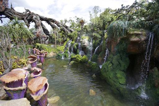 New attraction at Disney New attraction at Disney