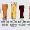 Photo: Station craft beer native Photo: Station craft beer native