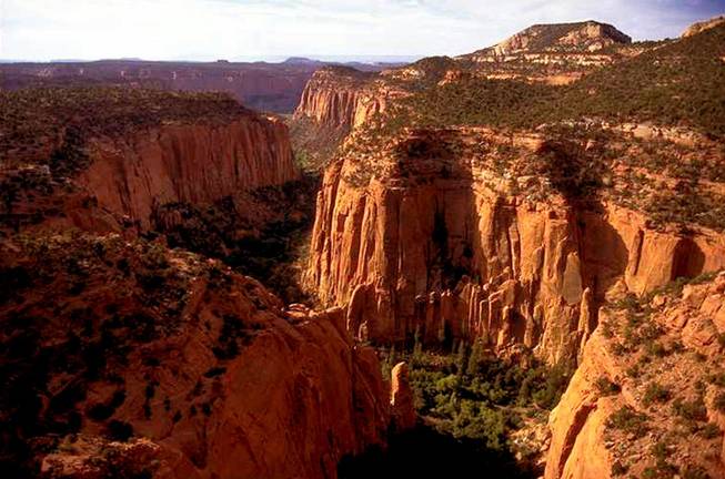 Escalante Canyons Escalante Canyons