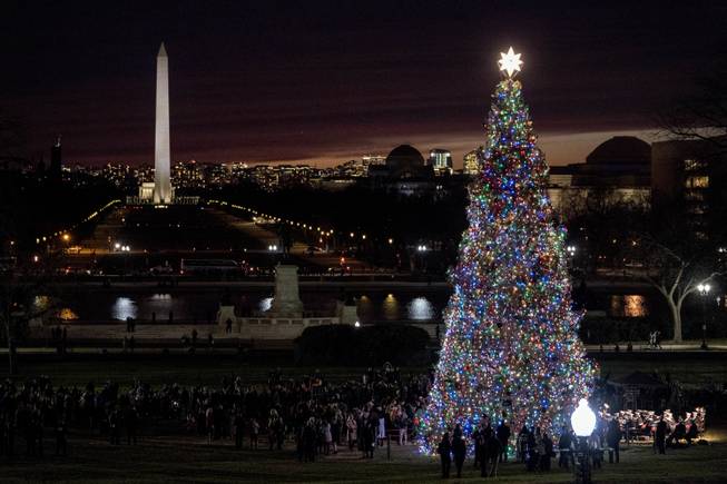 2017 Capitol Christmas Tree 2017 Capitol Christmas Tree