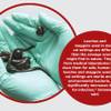 Photo: HCA leeches and maggots native Photo: HCA leeches and maggots native