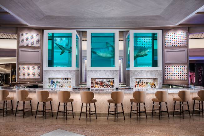 Palms Unknown bar new Palms native Palms Unknown bar new Palms native