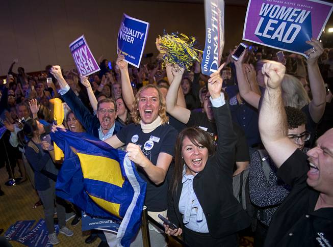 1106NVDems04 1106NVDems04