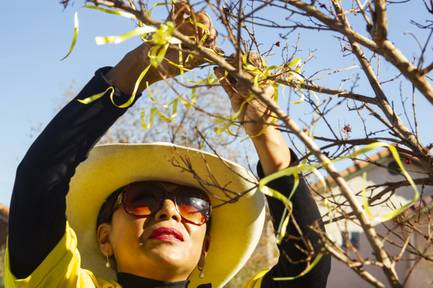 Metro Police volunteer Ana Coates ties a yellow ribbon to a tree at the Liberty Baptist Church during a Justice for Families ceremony in honor of Michael Lucas, whose murder remains unsolved, Thursday, Dec. 13, 2018.