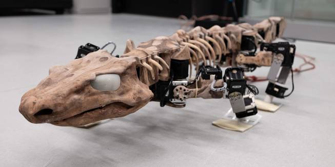 Ancient Animal Robot Ancient Animal Robot