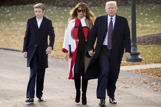 Trumps and Baron Trumps and Baron