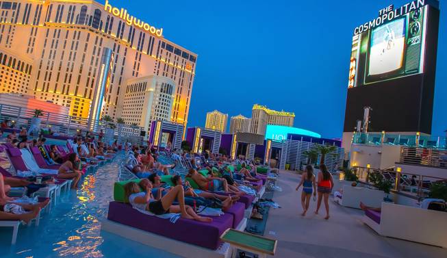 Dive In Movies Dive In Movies
