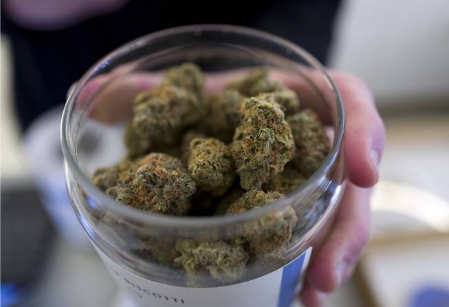 Marijuana Marijuana