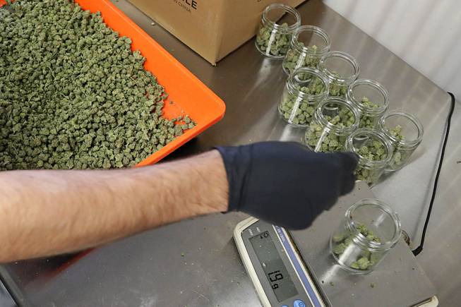marijuana marijuana