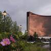Beach Plum flowers bloom along the banks of the Mystic River in front of the Encore Boston Harbor casino in Everett, Mass., Friday, June 21, 2019. Beach Plum flowers bloom along the banks of the Mystic River in front of the Encore Boston Harbor casino in Everett, Mass., Friday, June 21, 2019.