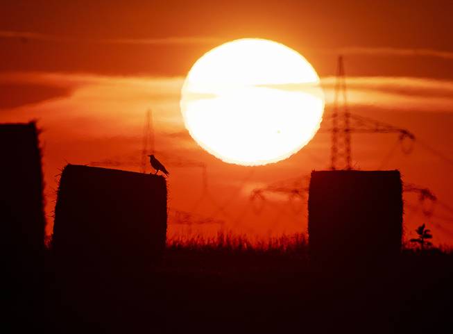 July Heat Record July Heat Record