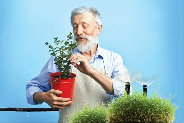 Outdoor water conservation tips and tricks