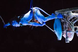 'TORUK - The First Flight'