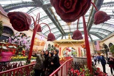 Women take a group selfie as they view Chinese New Year decorations at the Bellagio Conservatory & Botanical Gardens Sunday, Jan. 22,&nbsp;2017.